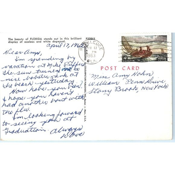 Postcard Florida Beauty Can be seen the with display white dogwood and azaleas - Picture 2 of 2